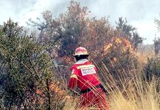 La cruda realidad: Eviten los incendios forestales