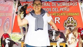 Navidad solidaria: evento benéfico para ayudar a animalitos en situación de calle