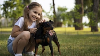 Los beneficios de tener perritos