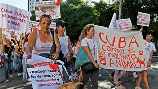 ​Cubanos marchan contra maltrato animal en manifestación que tolera dictadura