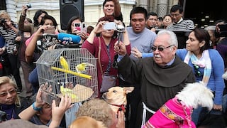 San Francisco: bendicen animales porque también son hijos y criaturas de Dios
