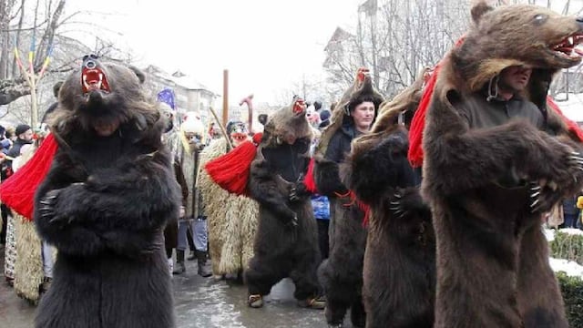 “Desfile de osos” se ha convertido en atractivo turístico y todos quieren participar