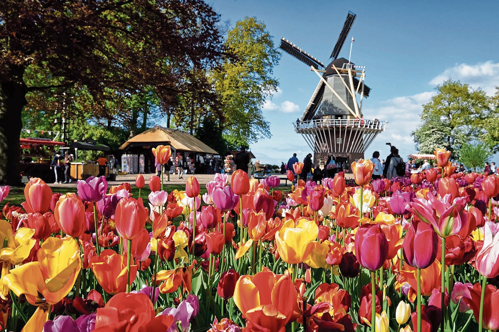 Personas de todo el mundo llegan a ver las flores de los Países Bajos.
