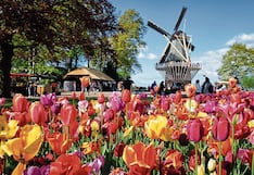 Países Bajos: vistosas flores atraen a turistas de todo el mundo