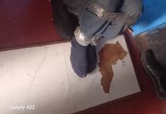 Dos hermanos fueron rescatados por la policía tras estar tres días amordazados y atados en su vivienda