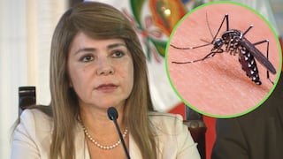 Ministra de Salud explica por qué el dengue aumentó en el país: “los ciudadanos no dejan fumigar sus viviendas”│VIDEO