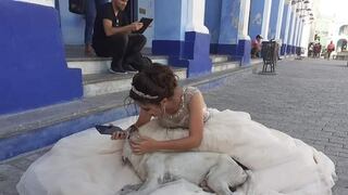 Perrito se cruza en fotos de quinceañera y se viraliza en redes | FOTOS