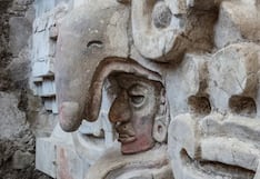 Búho gigante protege con su pico al “Señor de las nubes”