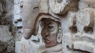 Búho gigante protege con su pico al “Señor de las nubes”