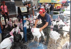 Crece demanda para comprar pavos, a pesar de menor poder adquisitivo de la población