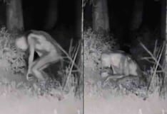 Difunden imágenes de supuestos extraterrestres que tienen forma humanoide | VIDEO