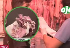 Descubren venta de carne de caballo haciéndola pasar por carne de res en Puente Piedra