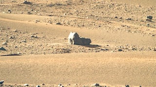 Encuentran ‘gato’ sentado en Marte: ocultando sus patas y su cola con su cuerpo