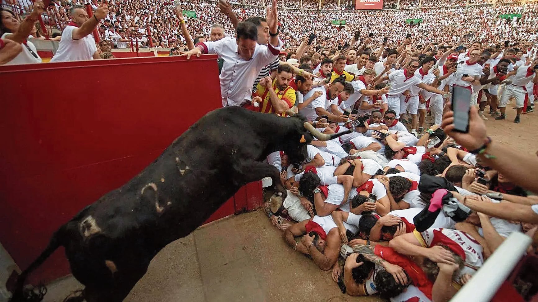 Uno de los toros de la ganadería Cebada Gago se prepara para saltar sobre la gente.