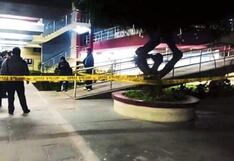 Arequipa: mata a universitaria de 35 puñaladas