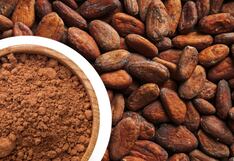 Comer para vivir: ¿En qué se diferencia el cacao de la cocoa?