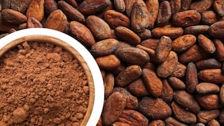 Comer para vivir: ¿En qué se diferencia el cacao de la cocoa?