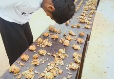 Guinness: hombre rompe 273 nueces con la frente en 1 minuto y es nuevo récord mundial | VIDEO