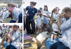 Príncipe Harry, hijo del rey Carlos III y esposo de Meghan Markle, hace yoga y juega con cabritas