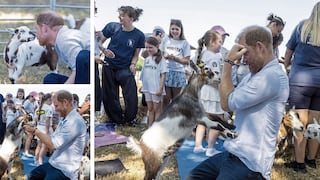 Príncipe Harry, hijo del rey Carlos III y esposo de Meghan Markle, hace yoga y juega con cabritas