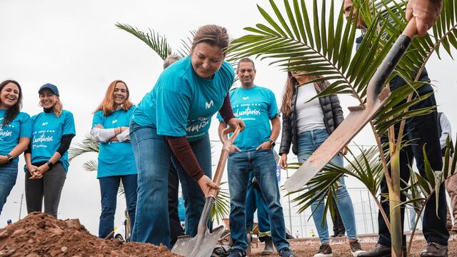 Voluntarios sembraron más de 7000 árboles en todo el país