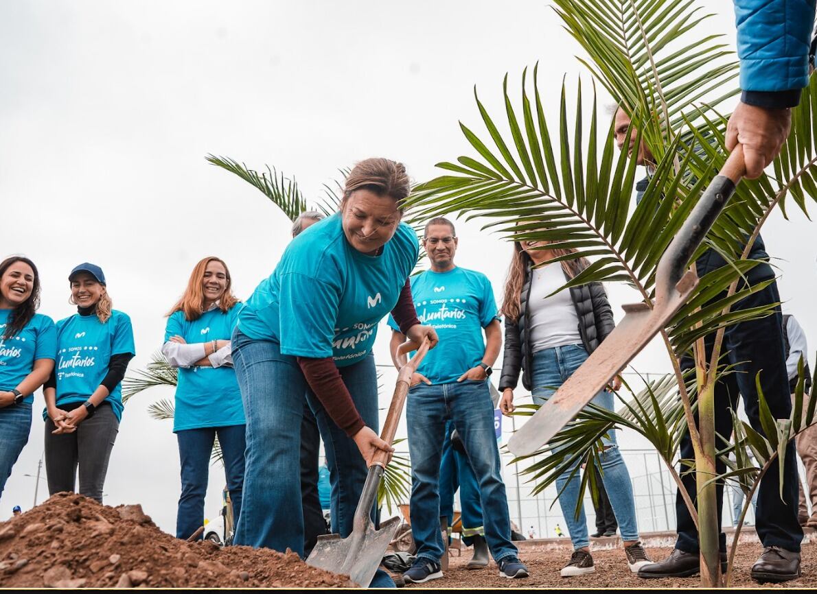 Más de 300 Voluntarios Telefónica sembraron 1000 árboles a lo largo de 2 kilómetros del borde de la avenida Costanera, en el Callao. Foto: Difusión.