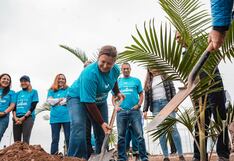 Voluntarios sembraron más de 7000 árboles en todo el país