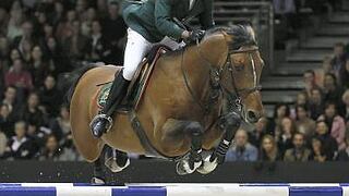 Quickly de Kreisker, caballo del rey que lleva vida de rico, compite en Río
