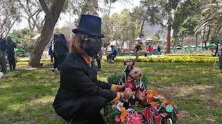 Surco: Mascotas celebraron Halloween con disfraces de personajes de películas