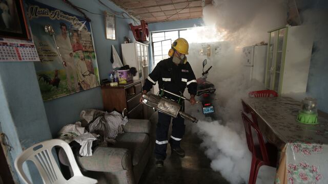 Dengue: Identifican 1339 viviendas con criaderos de zancudos en Lima norte 
