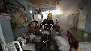 Dengue: Identifican 1339 viviendas con criaderos de zancudos en Lima norte