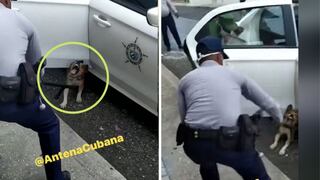 Perro suelto en una calle movilizó tres patrullas y varios policías para “detenerlo”