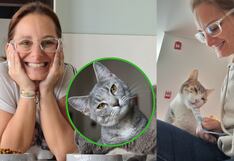 CatCare: El bello arte de cuidar gatos a domicilio