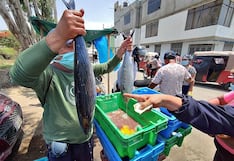 Precios del pescado, limón, choclo y papa en peligro por El Niño
