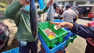 Precios del pescado, limón, choclo y papa en peligro por El Niño