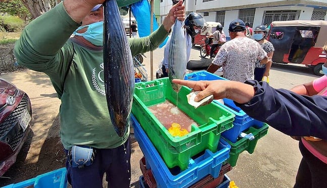 Precios del pescado, limón, choclo y papa en peligro por El Niño