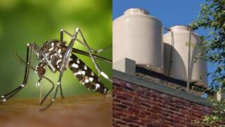 Cuidado del hogar: Evite la proliferación del mosquito del dengue en sus tanques y tuberías