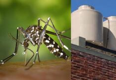 Cuidado del hogar: Evite la proliferación del mosquito del dengue en sus tanques y tuberías