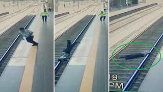 Pasajero cayó a rieles del tren y causó pánico en estación de VES (VIDEO)
