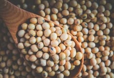 Comer para vivir: Cómo identificar fitoestrógenos en productos de soya
