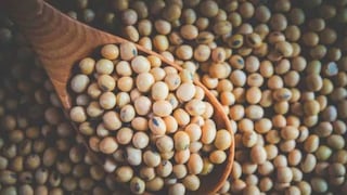 Comer para vivir: Cómo identificar fitoestrógenos en productos de soya