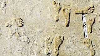 Los primeros humanos caminaban por América del Norte hace 23 mil años