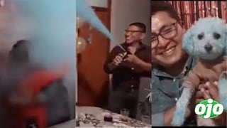 Revelación de sexo en babyshower sale mal y todos terminan cubiertos de humo: “¿Qué culpa tiene el perro?