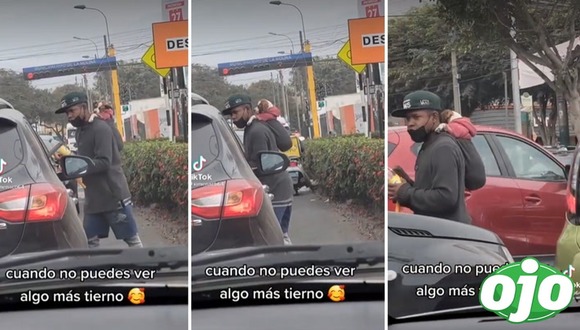 Joven lleva a su perrito a su trabajo | OJO