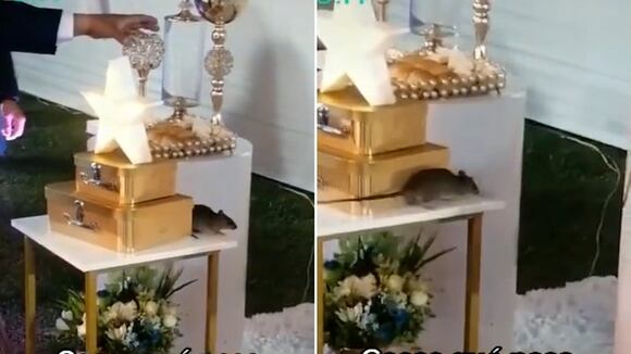 Video viral: Rata asusta a invitados en quinceañero