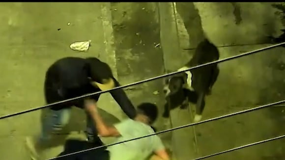 VES: Capturan a delincuente que asaltaba junto a su perro pitbull