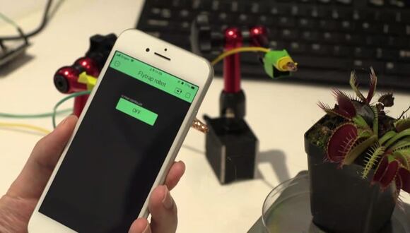 Combinar tecnología y naturaleza para crear "robots-plantas"