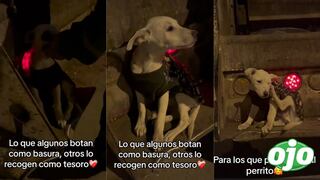 Perrito abandonado en la basura es adoptado por trabajador de limpieza y conmueve a usuarios: “Te ganaste el cielo”