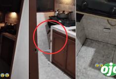 Extraña aparición puso los pelos de punta entre los cibernautas y se viraliza