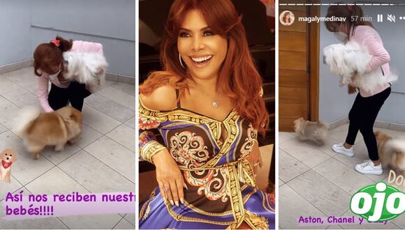 Magaly Medina ya está en Perú | OJO